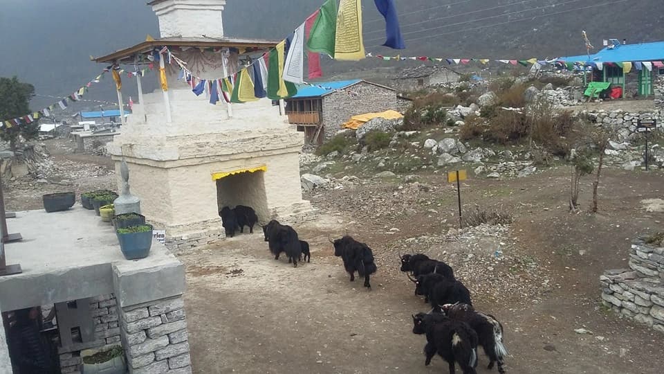 Tsum Valley Manaslu Circuit Trek