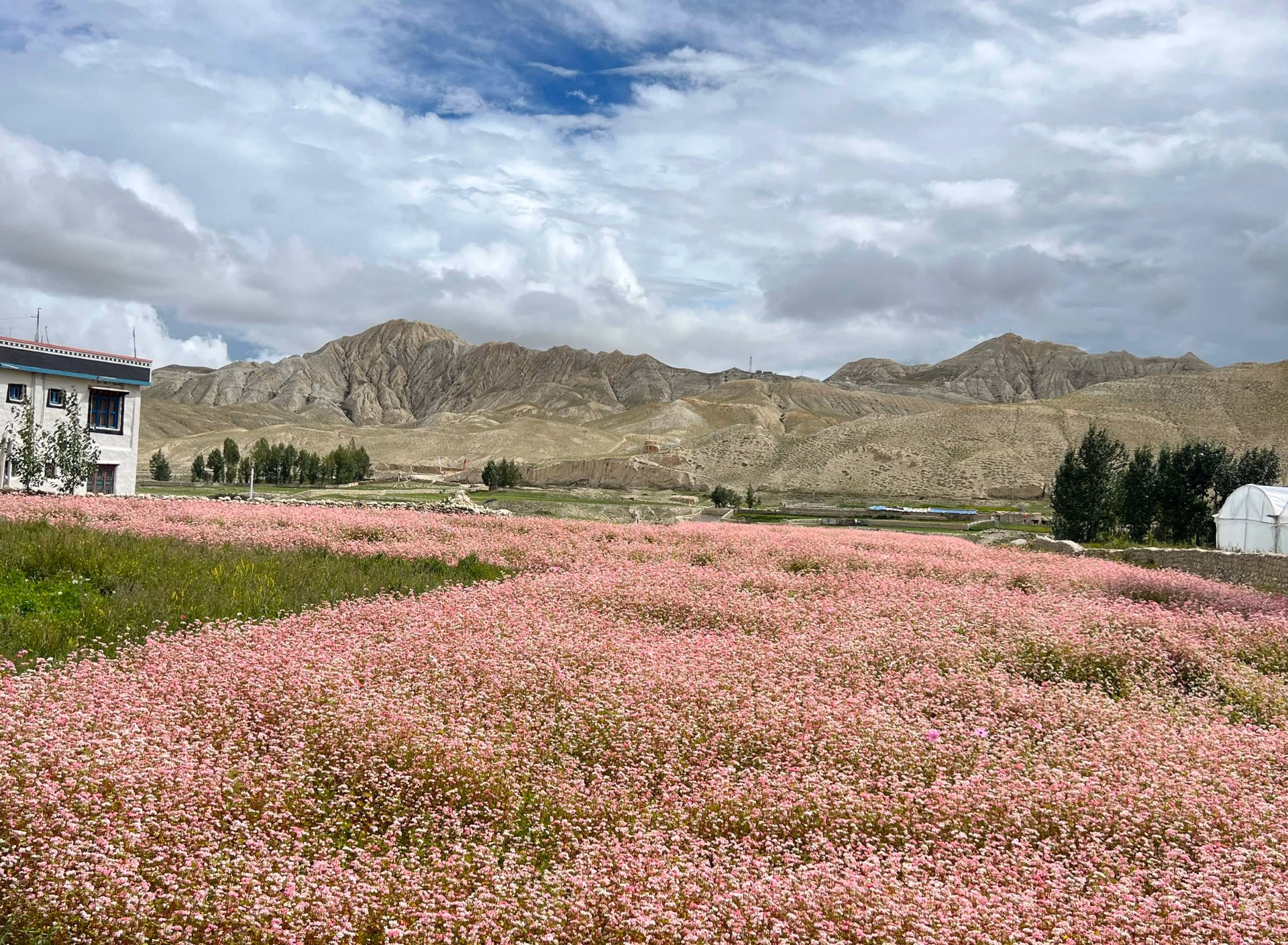 Trek from Ghaymi to Charang (3500m) — 6/7 Hours: