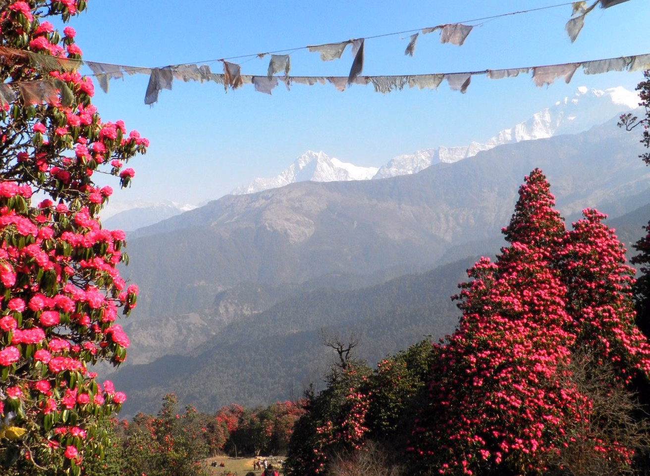 Ulleri to Ghorepani (2874m)