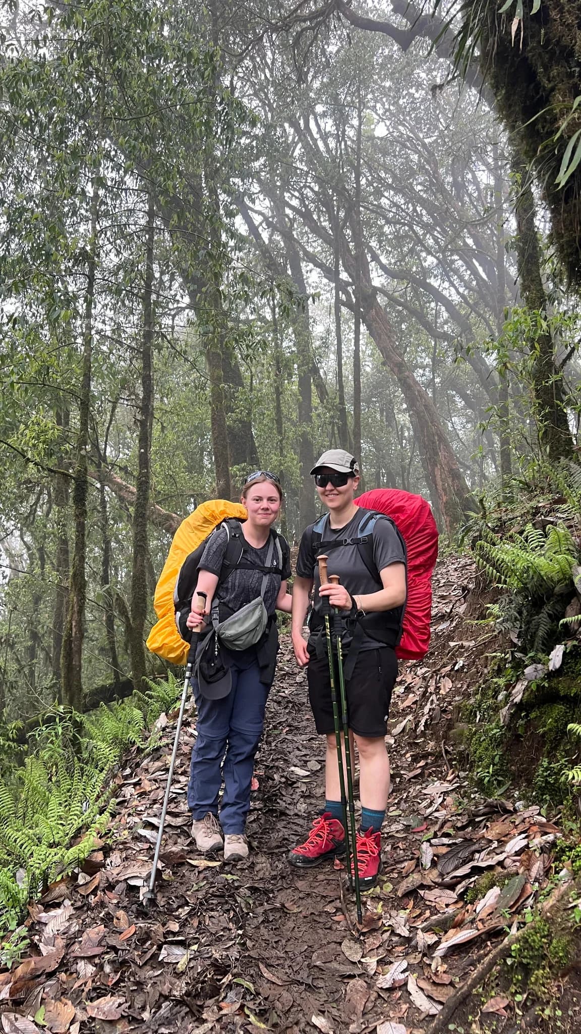 Trek from Deurali to Low Camp (2,990m) 9514ft – 6/7 hrs.