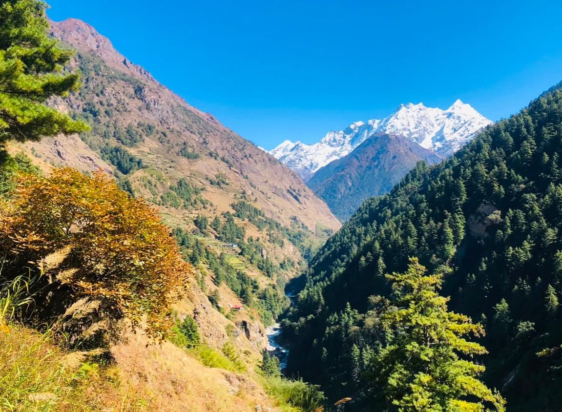 Trek to Chhokangparo (3031 m, 8 km, 5 to 6 hrs)