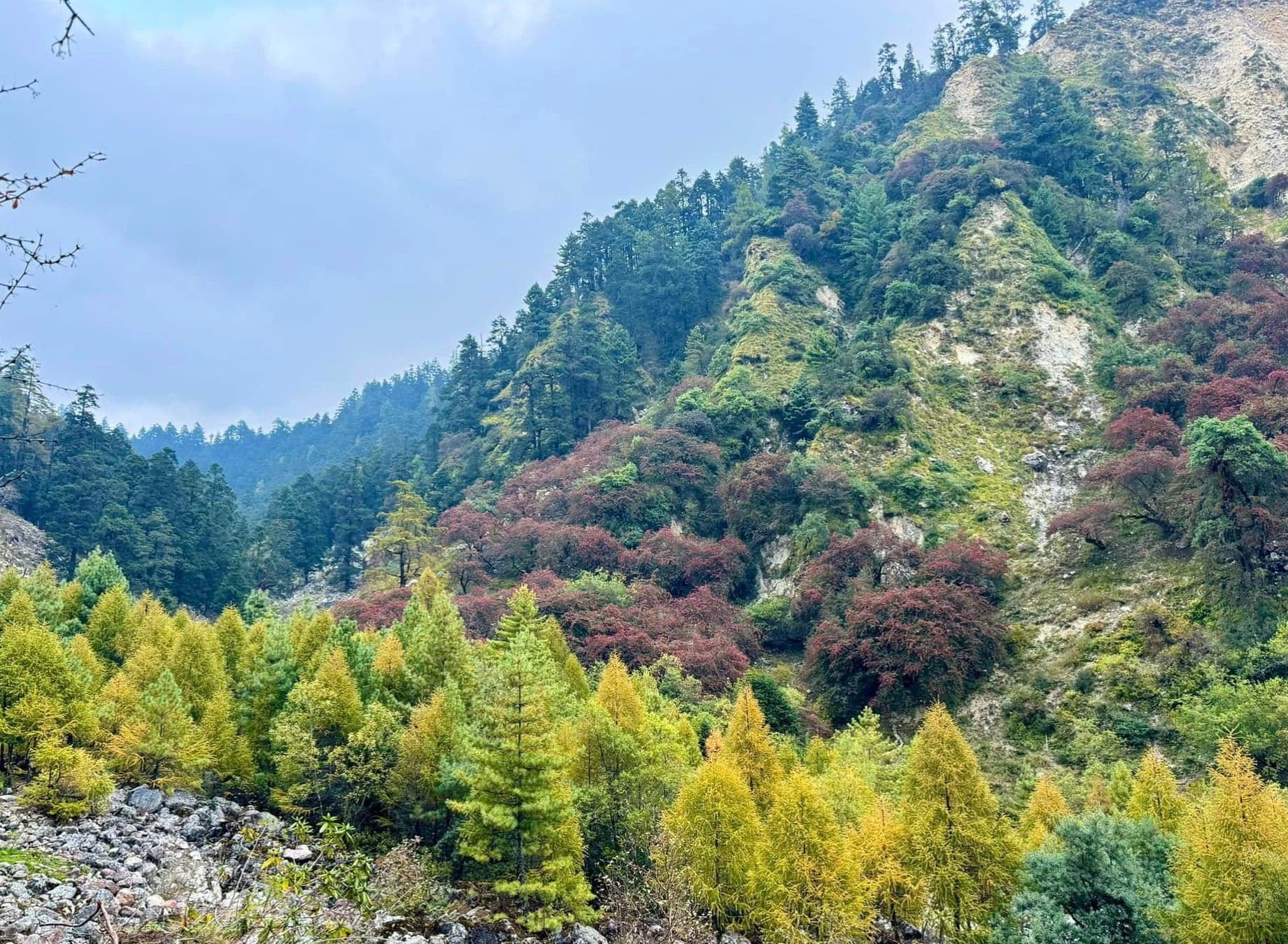 Trek from Bhimthang to Tilje village (2300 m) – 4 hrs - 13km) then drive to Besisahar - 3 Hrs