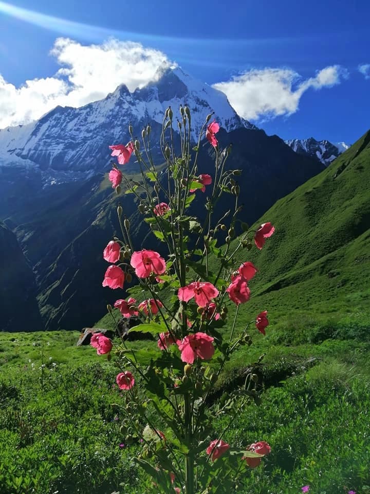 7 Days Annapurna Base Camp Trek