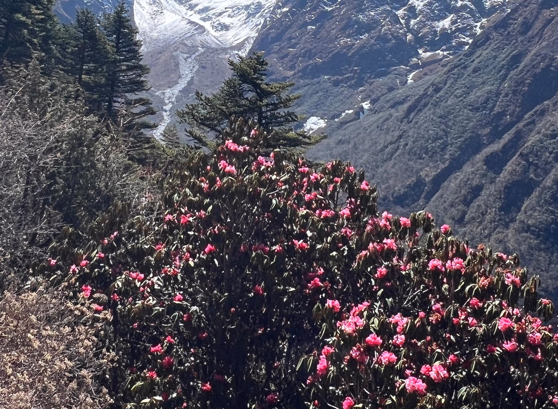 Trek to Lukla – 7/8 hrs.