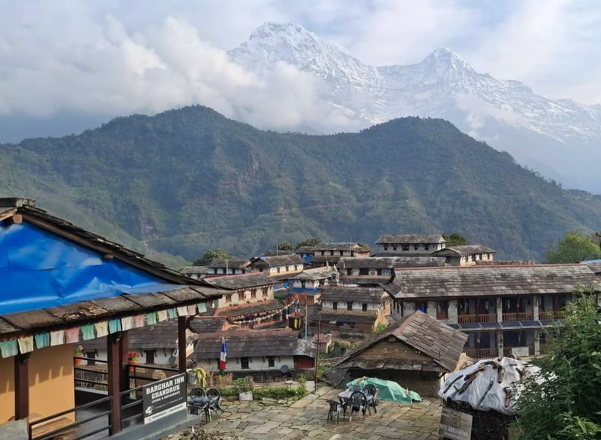 Trek from Tadapani to Ghandruk 1,951 m -3 Hrs then Drive to Pokhara - 3/4 Hrs