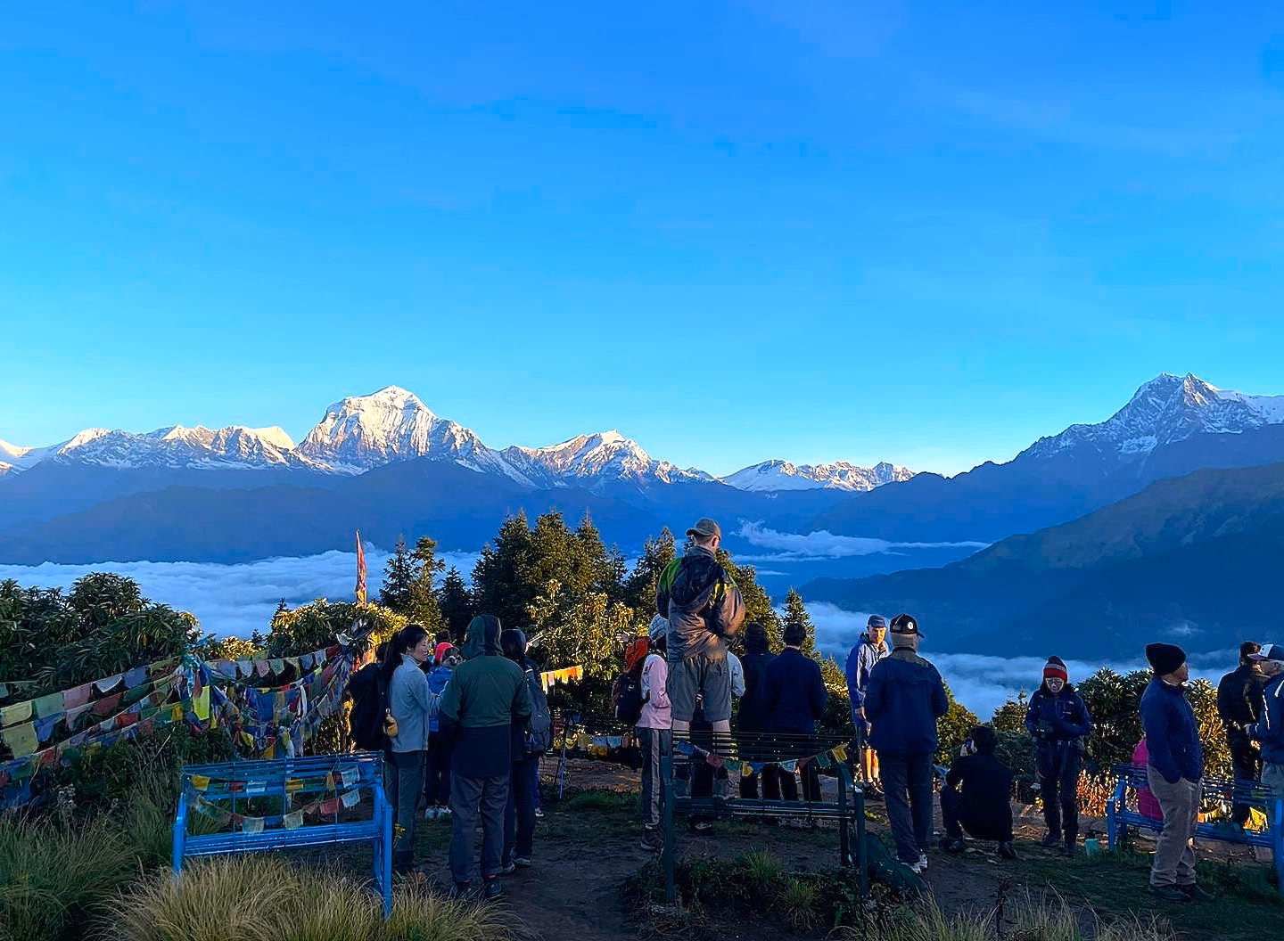 Hike to Poon Hill (3210m) to then back to Banthati - 2hrs and drive back to Pokhara - 3hrs (810 m)