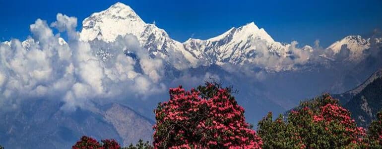 Trekking in Nepal with kids