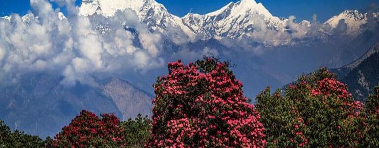 Annapurna Trekking Region