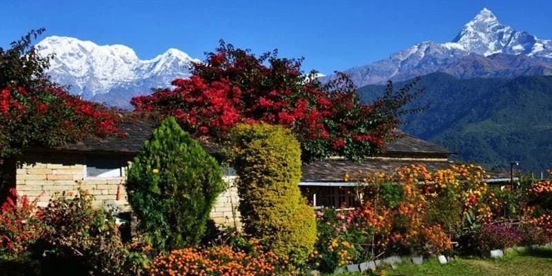 Dhampus and Sarangkot Trek