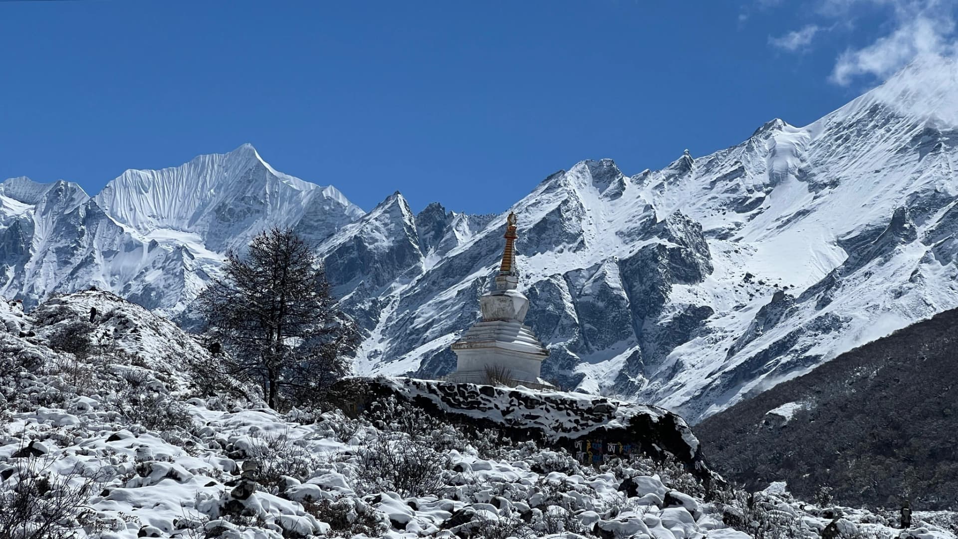 Short Langtang Trek 5 Days