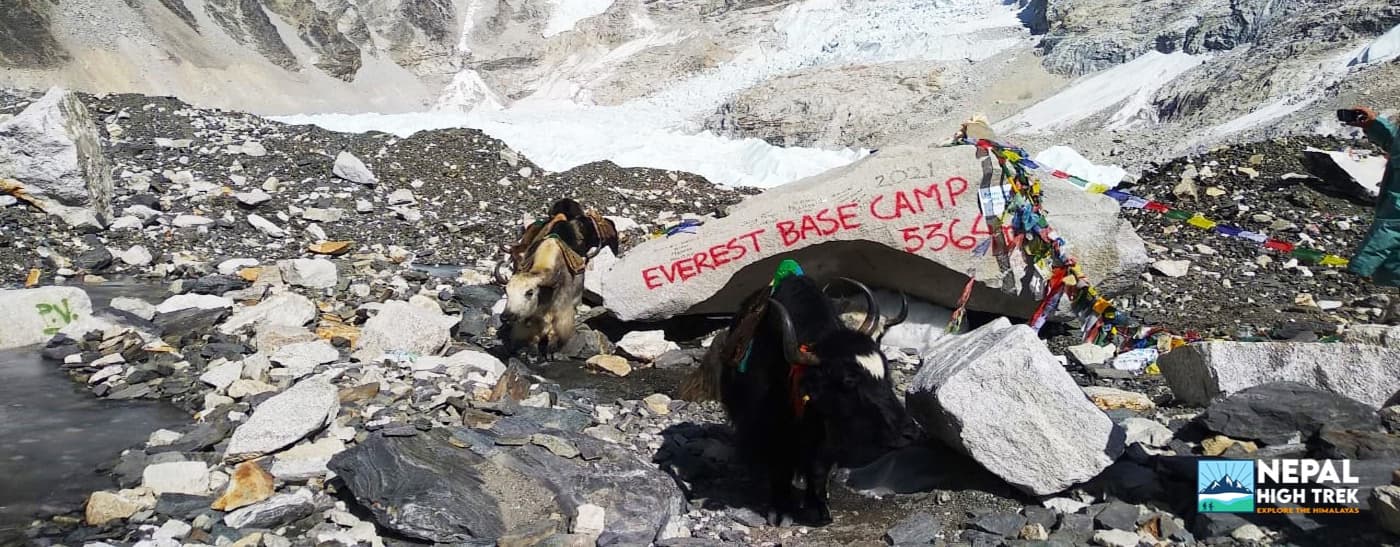 Everest Base Camp Trekking in Nepal