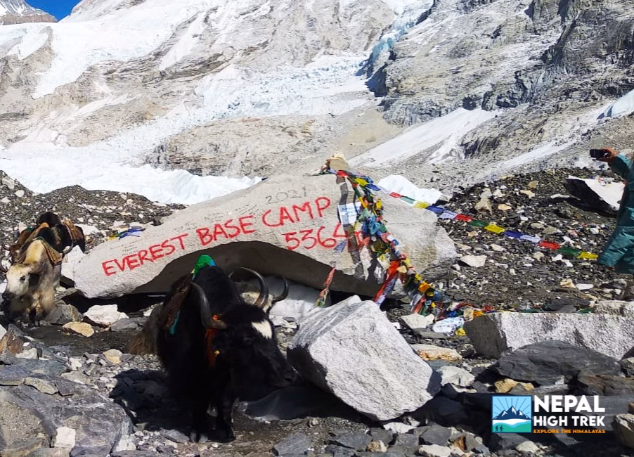 Everest Base Camp Trekking in Nepal