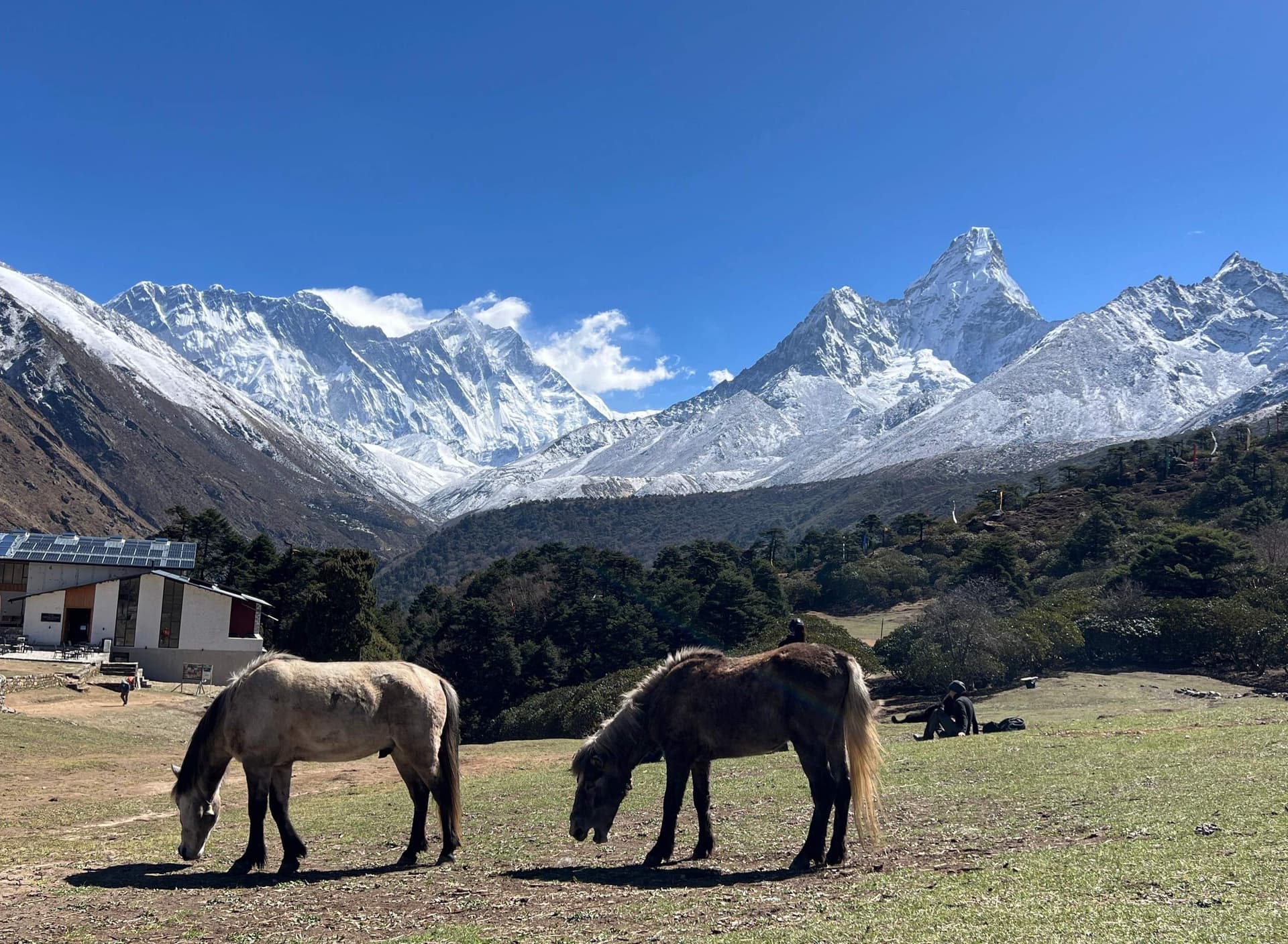 Trek to Namche Bazaar – 07 hrs.