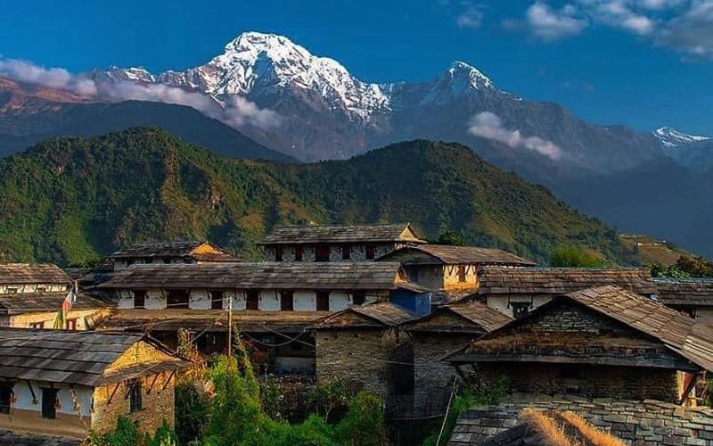Trek from Tadapani to Ghandruk 1,951 m -3 Hrs then Drive to Pokhara - 3/4 Hrs