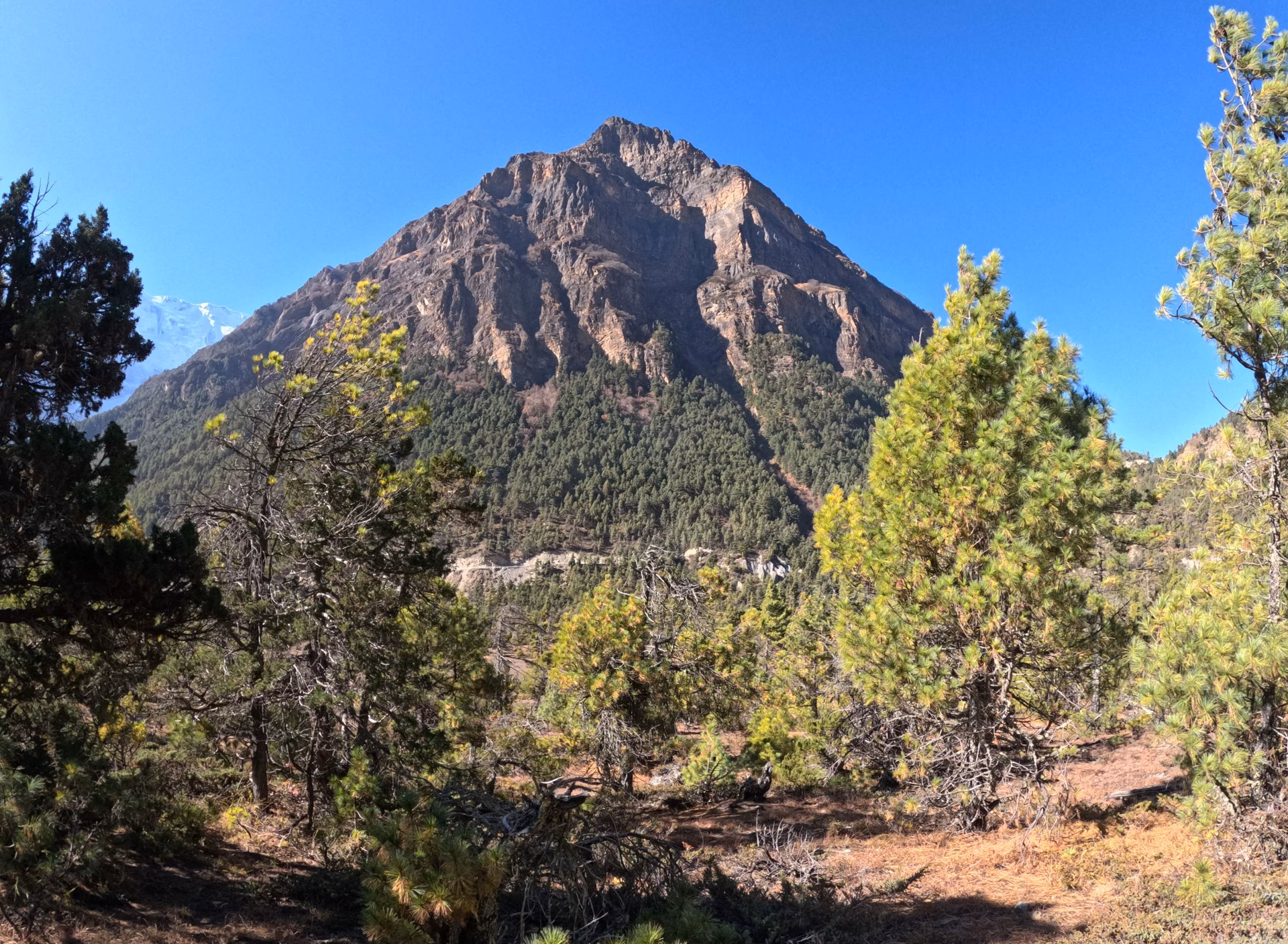 Trek From Upper Pisang to Manang via Ghyaru Nawal (3,450 m/19km) – 8/9 Hours