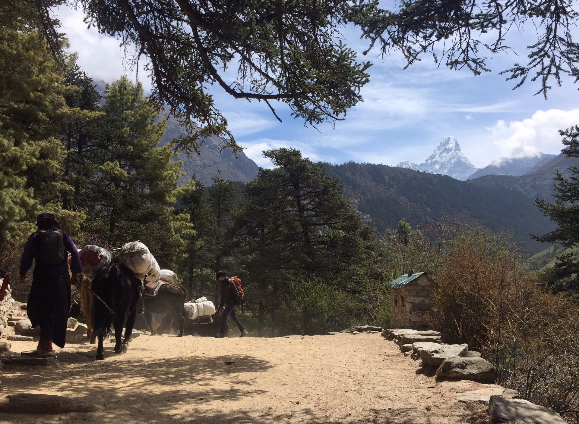 Trek from Dole to Namche Bazar 3,440 m – 6/7 hrs.