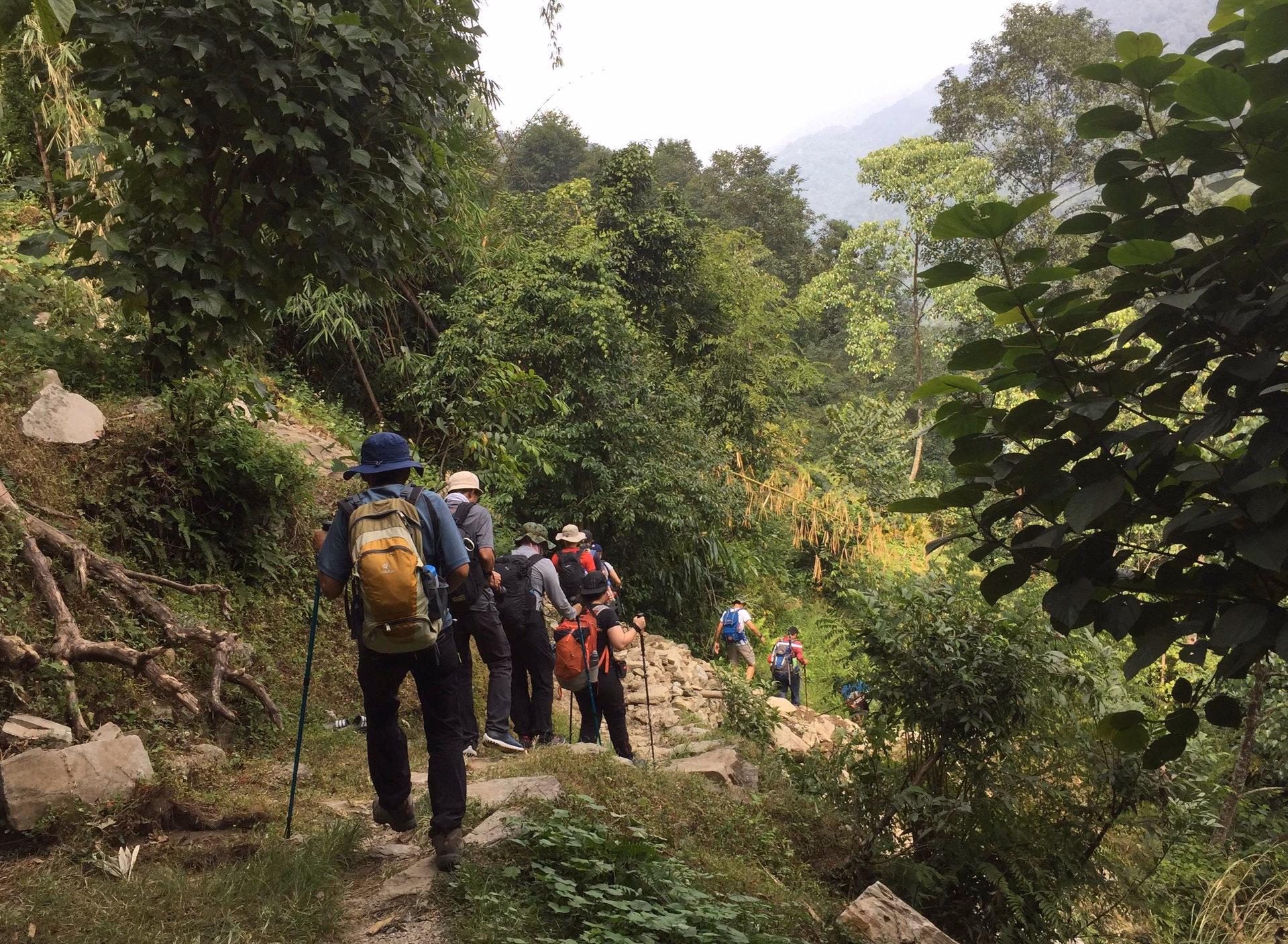Drive from Pokhara to Bikash Danda 3 Hrs then walk to Ghandrunk Village 2,012 m – 20 m.