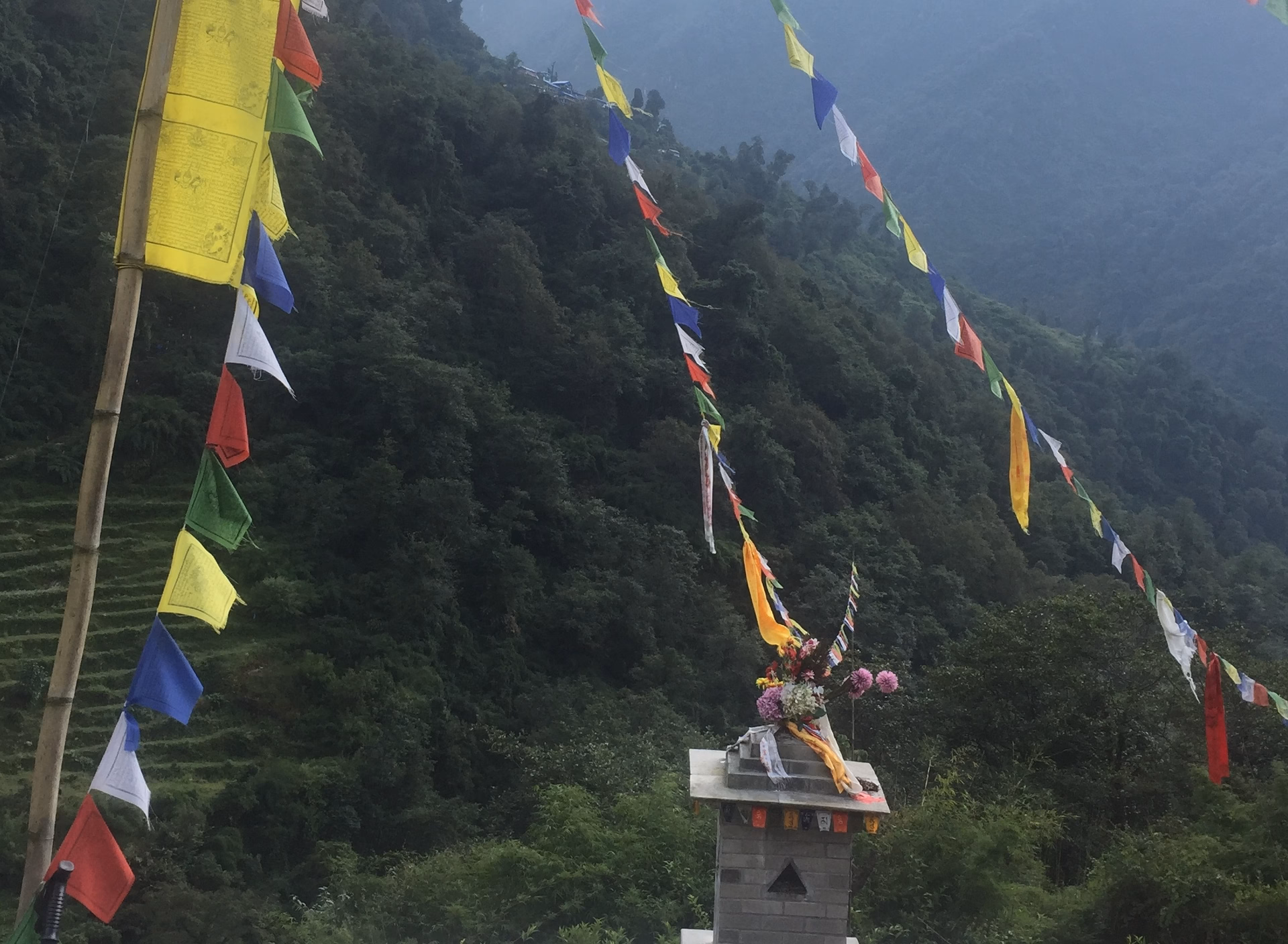 Trek from Ghandrunk to Upper Sinuwa 2345 m – 7/8 hrs.
