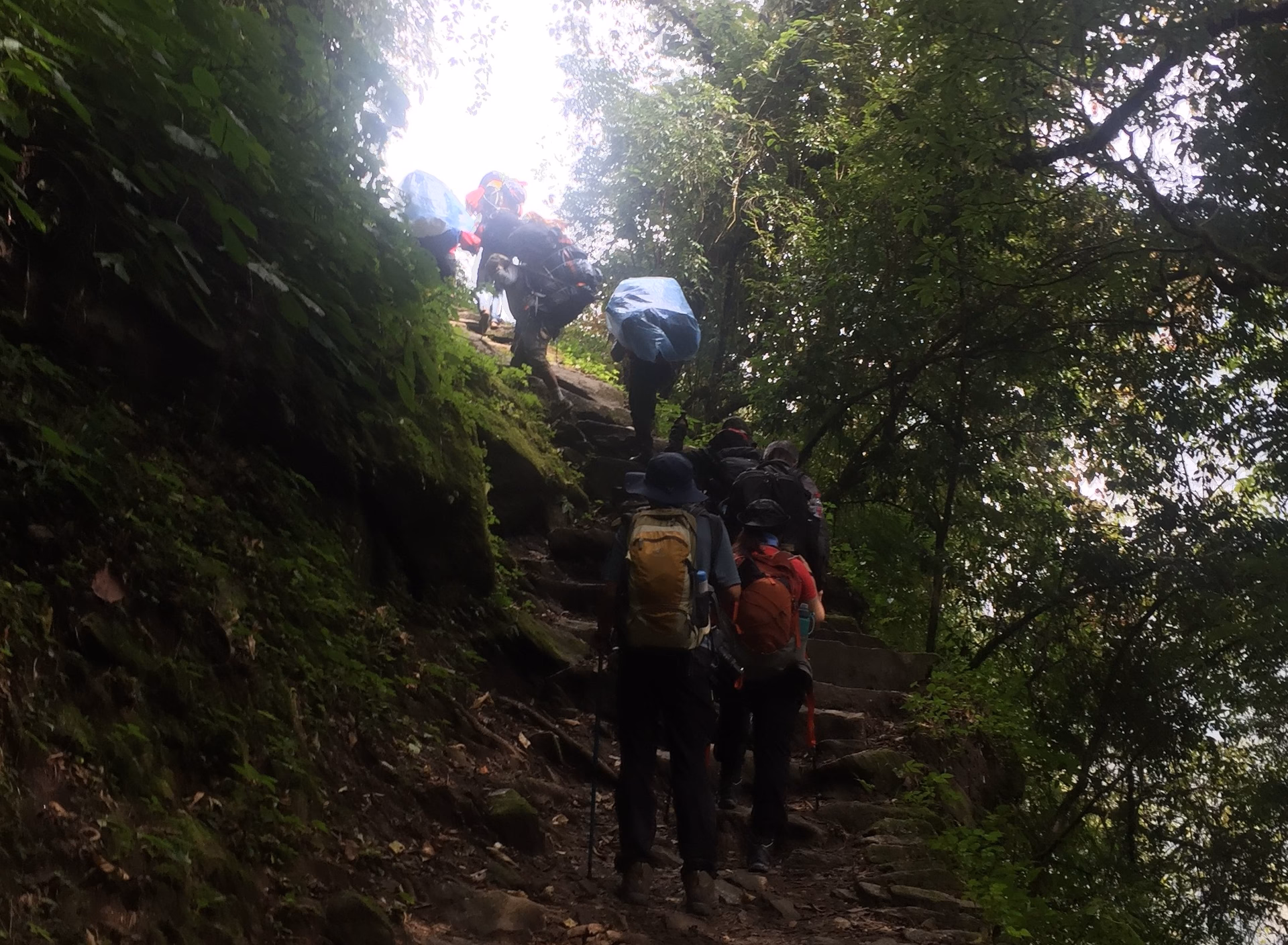 Trek from Upper Sinuwa to Deurali 3,700 m – 7/8 hrs.
