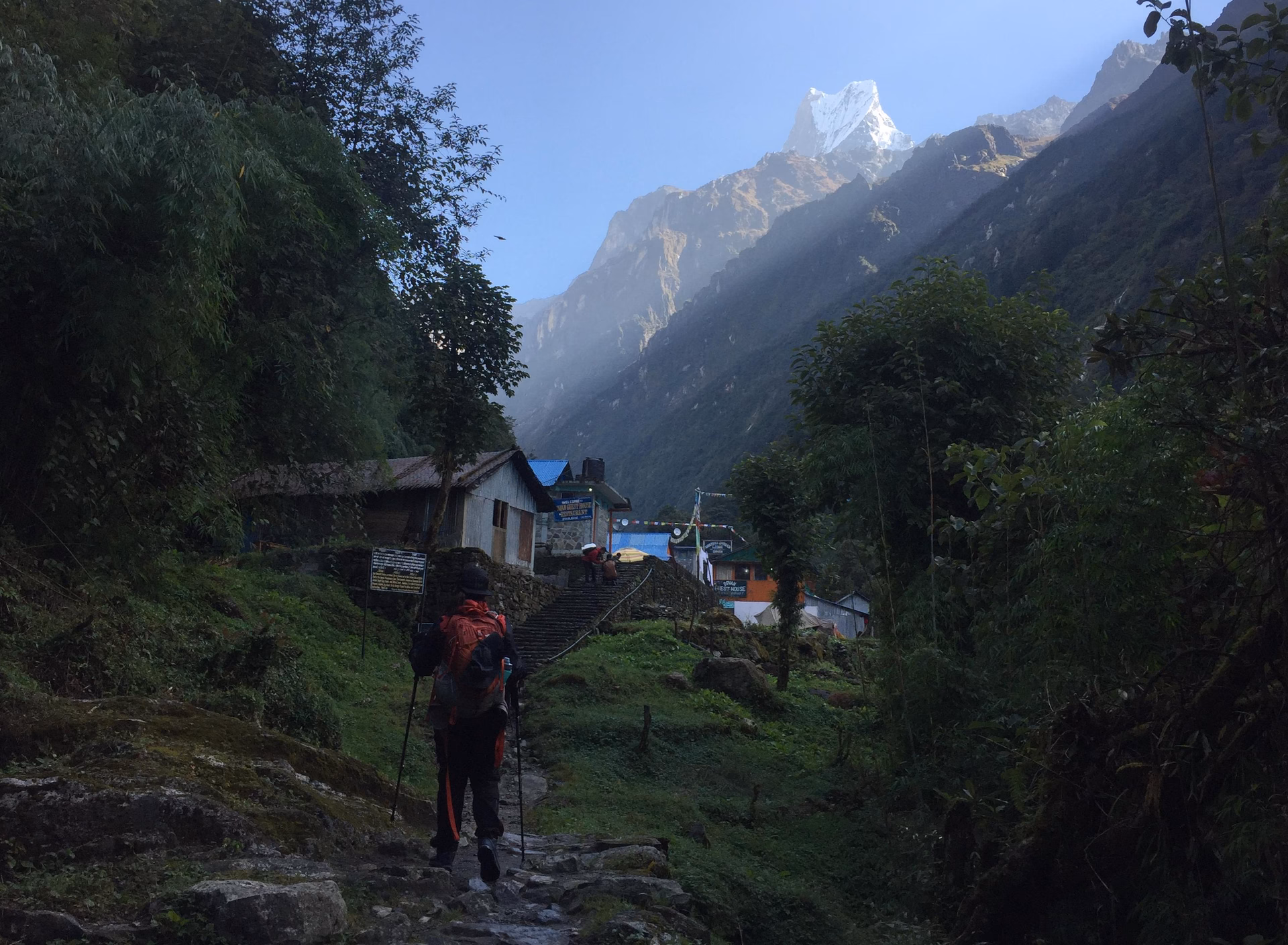 Trek from Upper Sinuwa to Deurali 3,700 m – 7/8 hrs.
