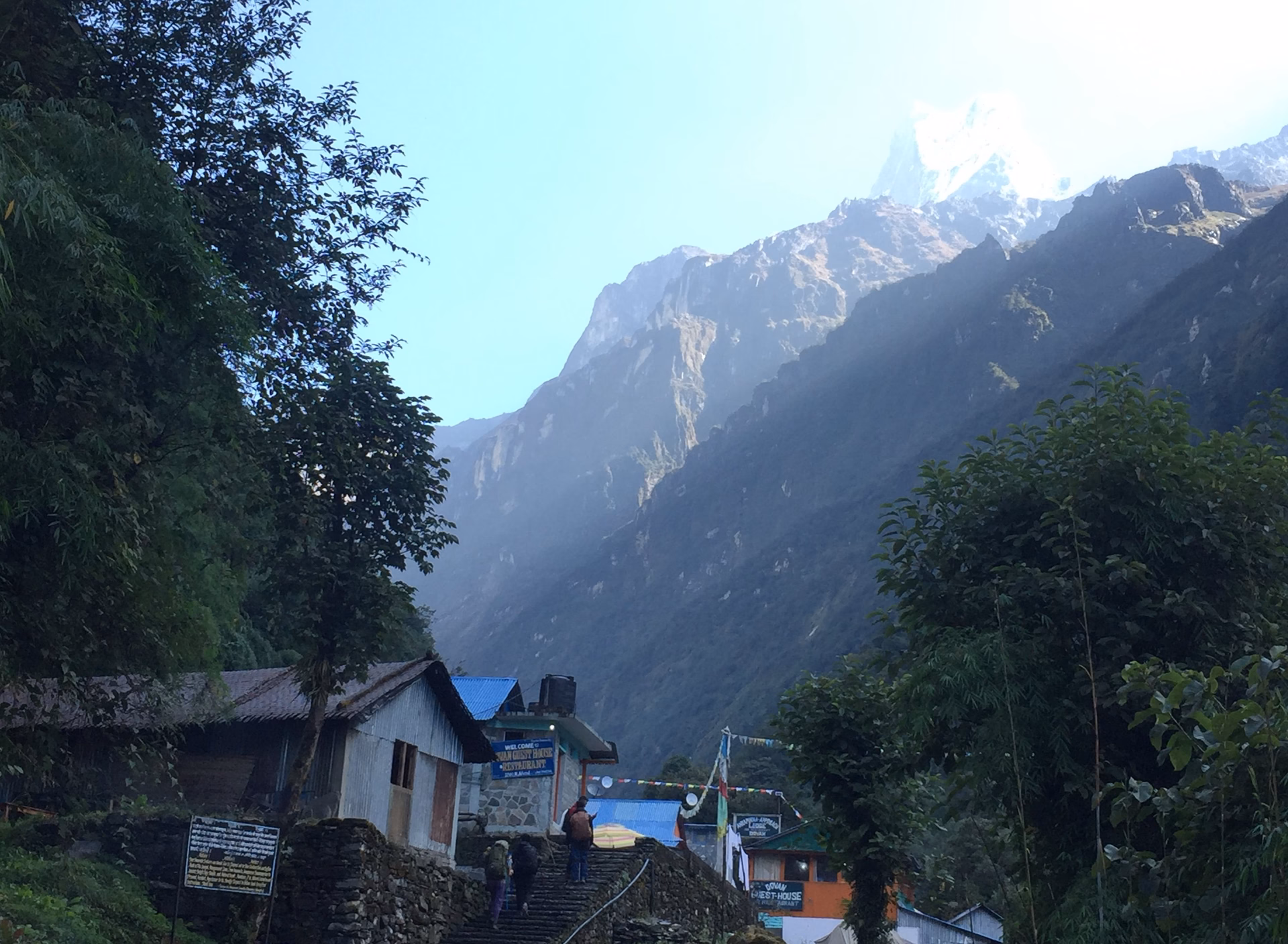 Trek from Upper Sinuwa to Deurali 3,700 m – 7/8 hrs.