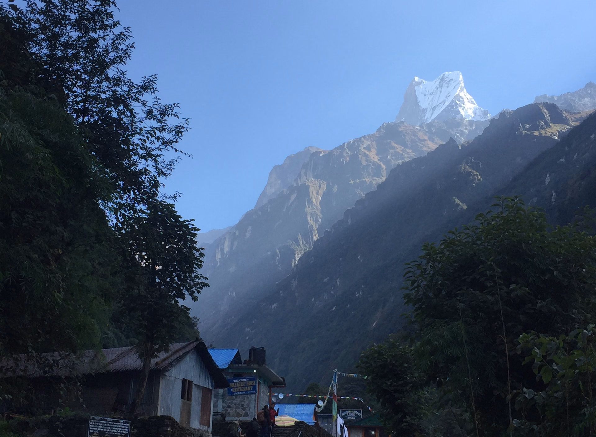 Trek from Upper Sinuwa to Deurali 3,700 m – 7/8 hrs.