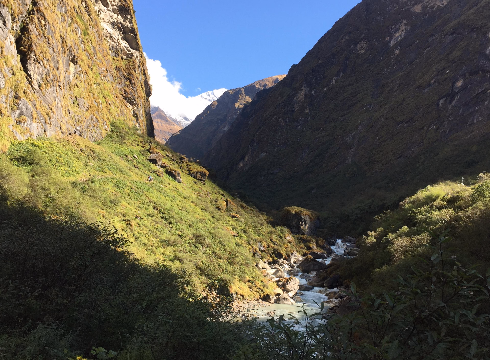 Trek from Annapurna Base Camp to Bamboo 2,335 m – 7/8 hrs