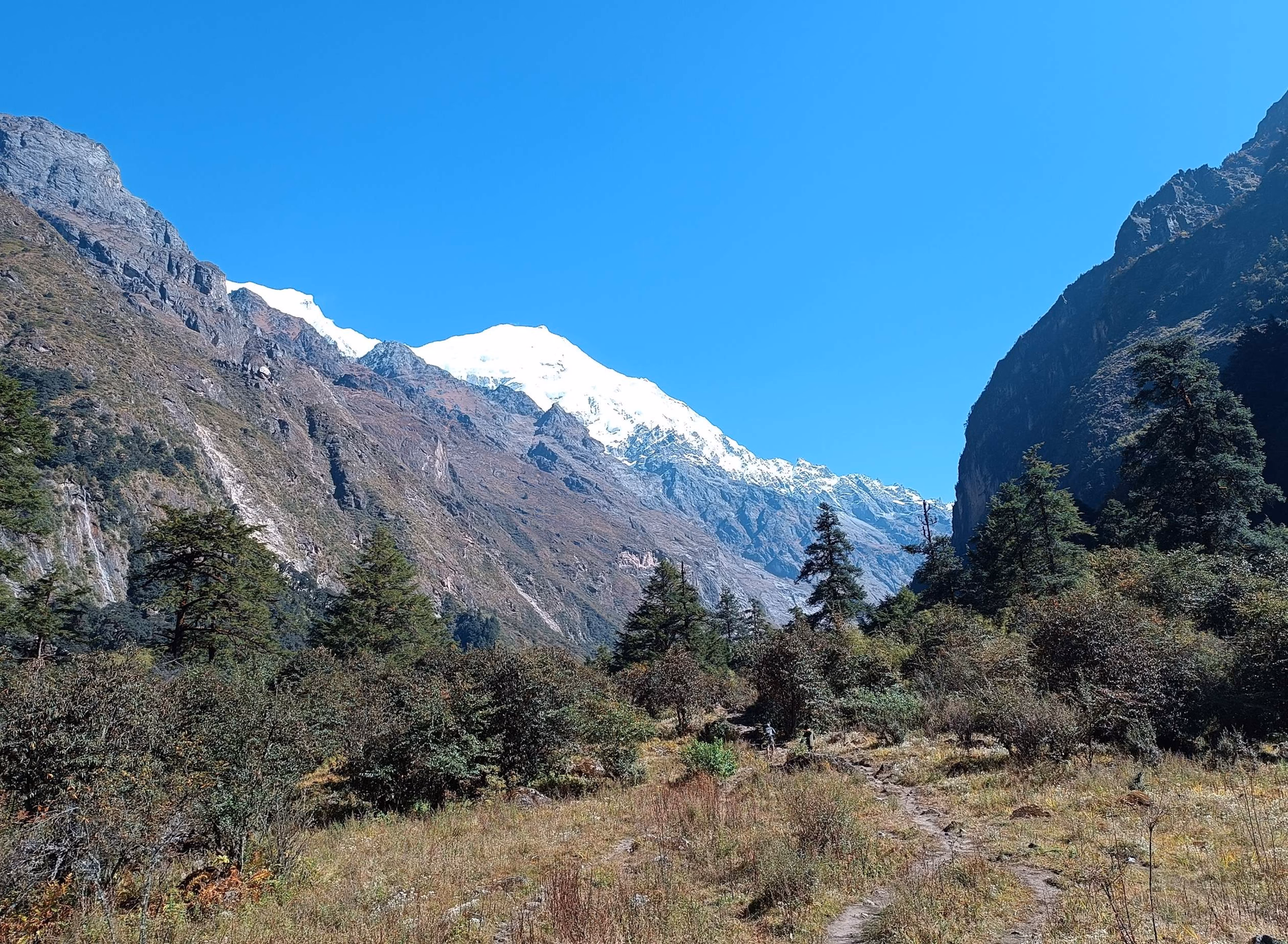 Trek from Kyanjin Gompa to Lama Hotel (2450m) - 7/8 hrs - 21km