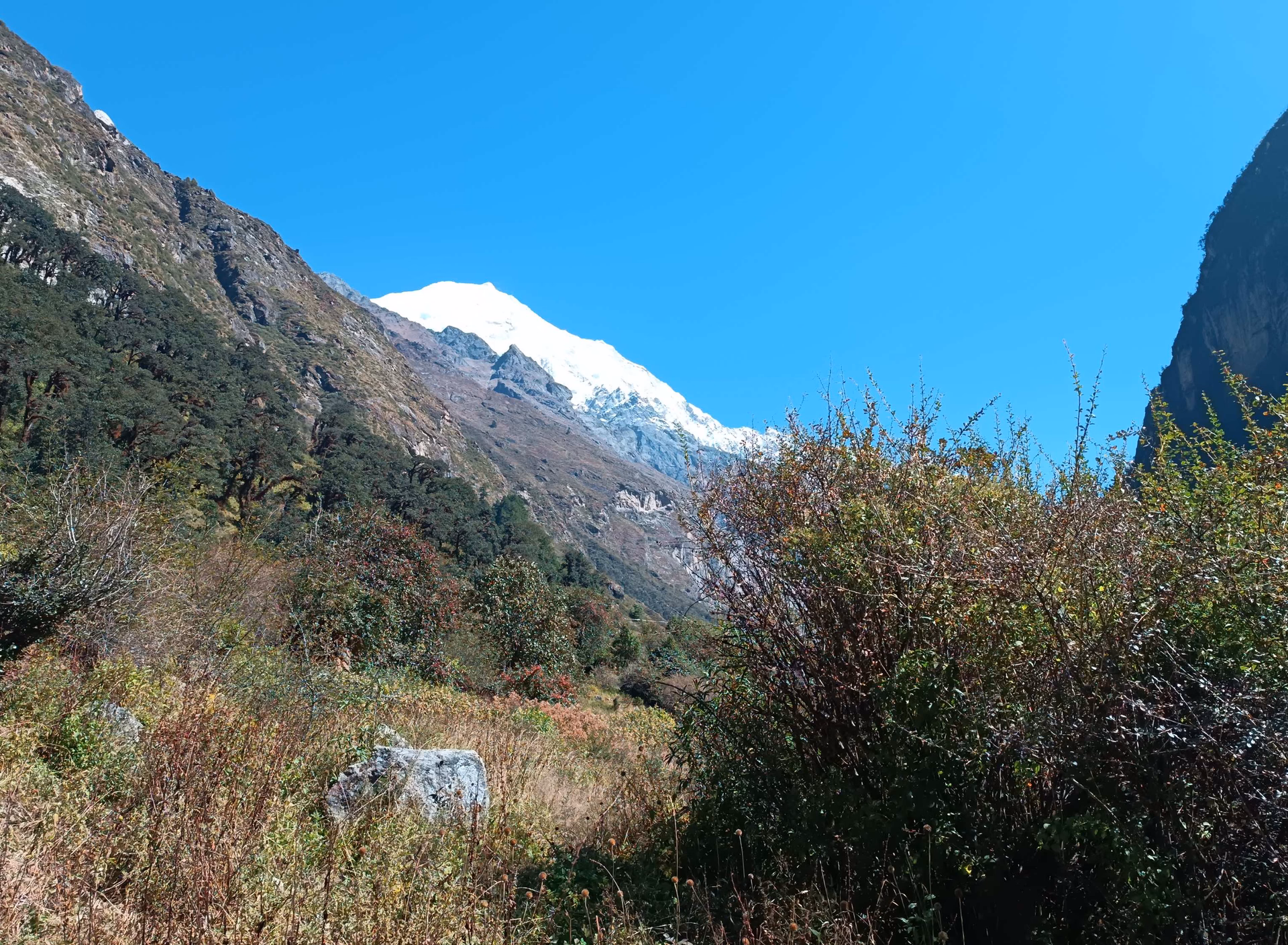 Trek from Bambo to Langtang Village l (34,30 m) -8/9 Hrs - 18km
