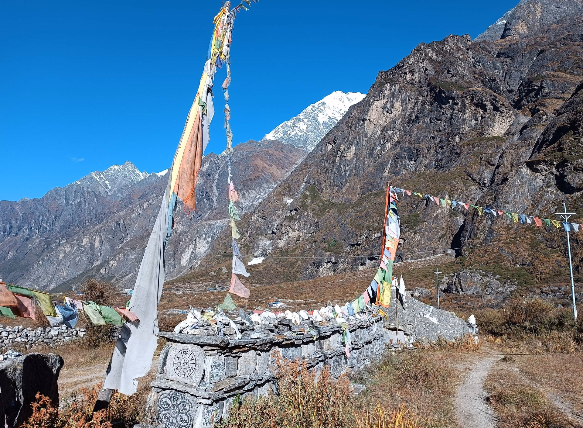Trek from Langtang Village - Kyanjin Gompa (3870m -3/4 hrs then hike to Kyanin Viewpoint (4380m) -2/3 Hrs