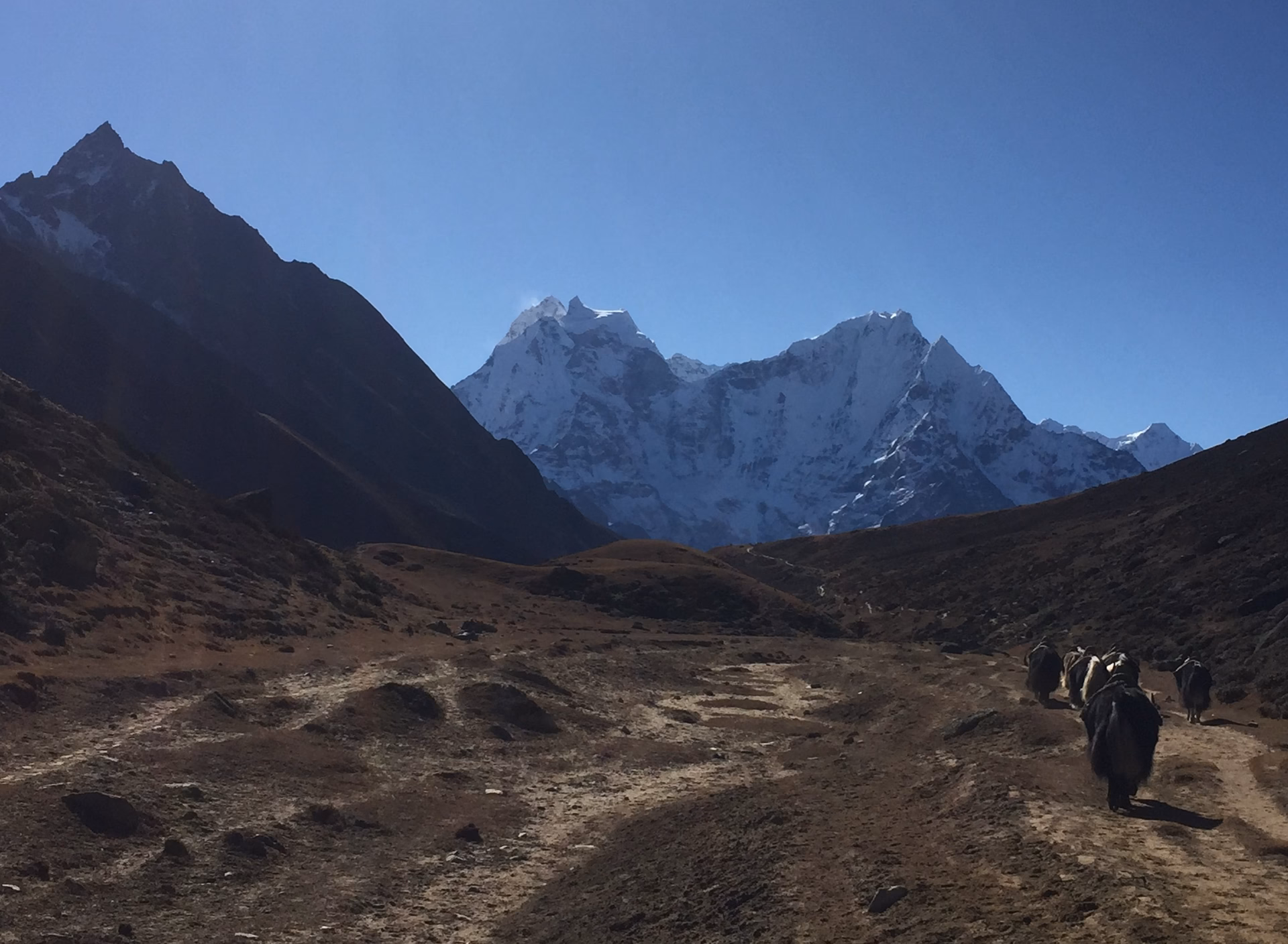 Trek from Dole to Machhermo 4,470 m - 6/7 hrs.