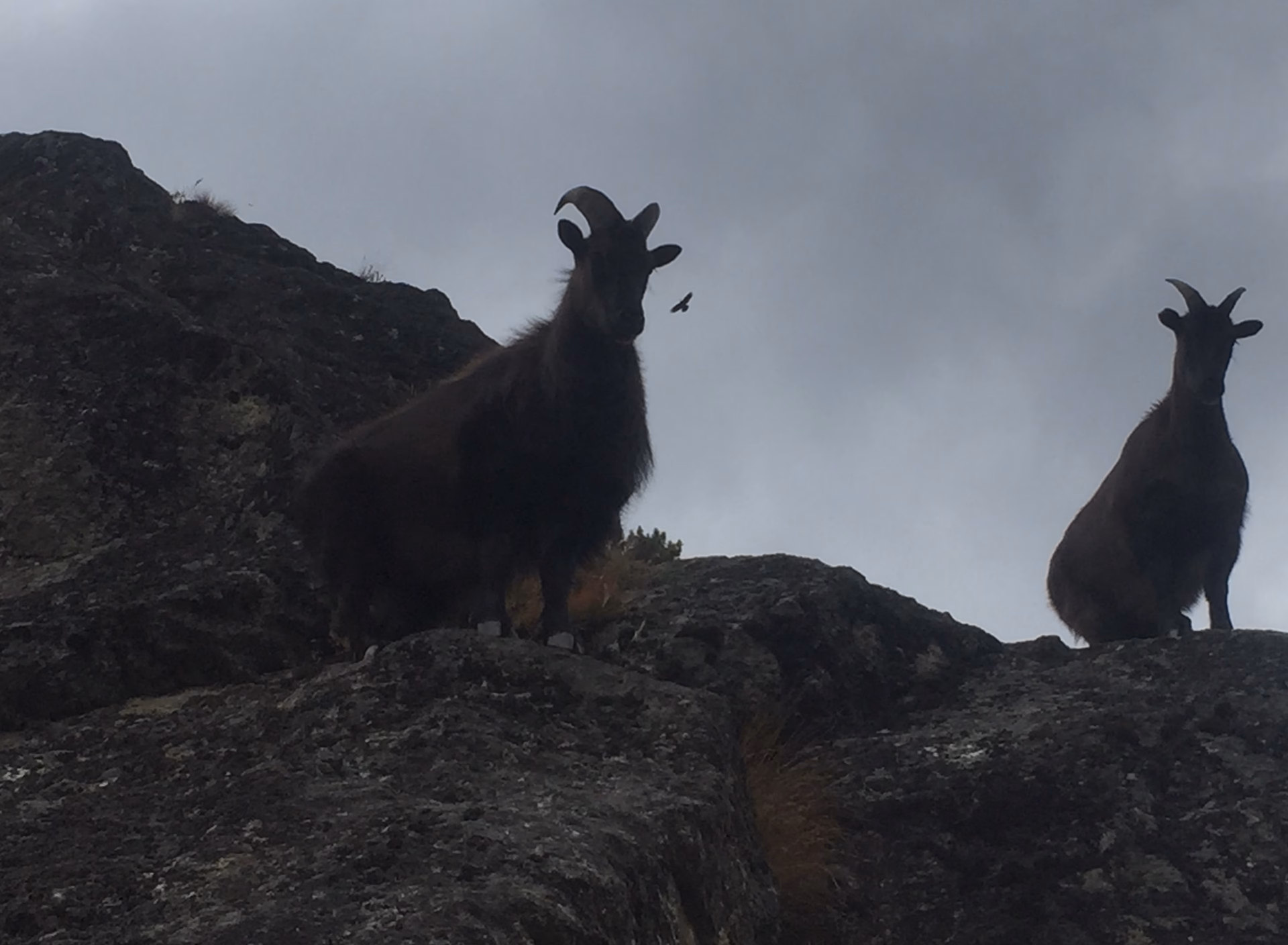 Trek from Dole to Namche Bazar 3,440 m – 6/7 hrs.
