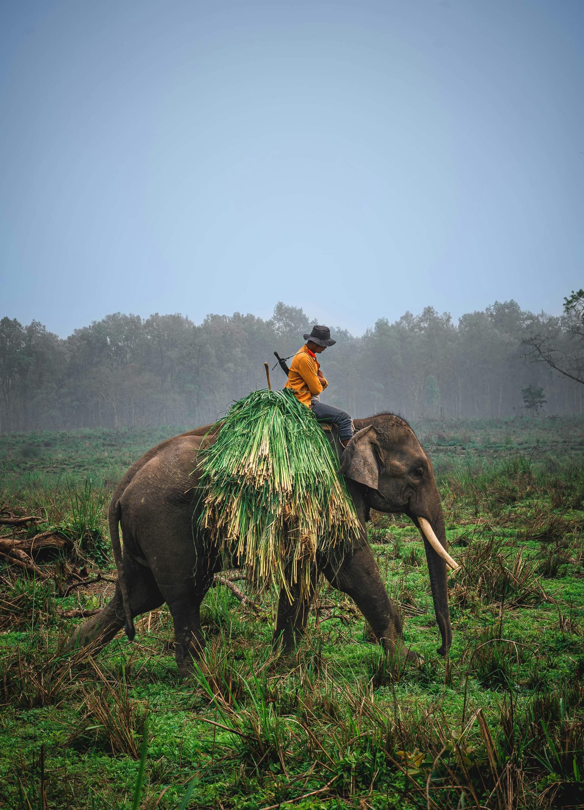 Kathmandu Chitwan Tour