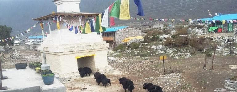 The Complete Updated Manaslu Region Treks in 2024