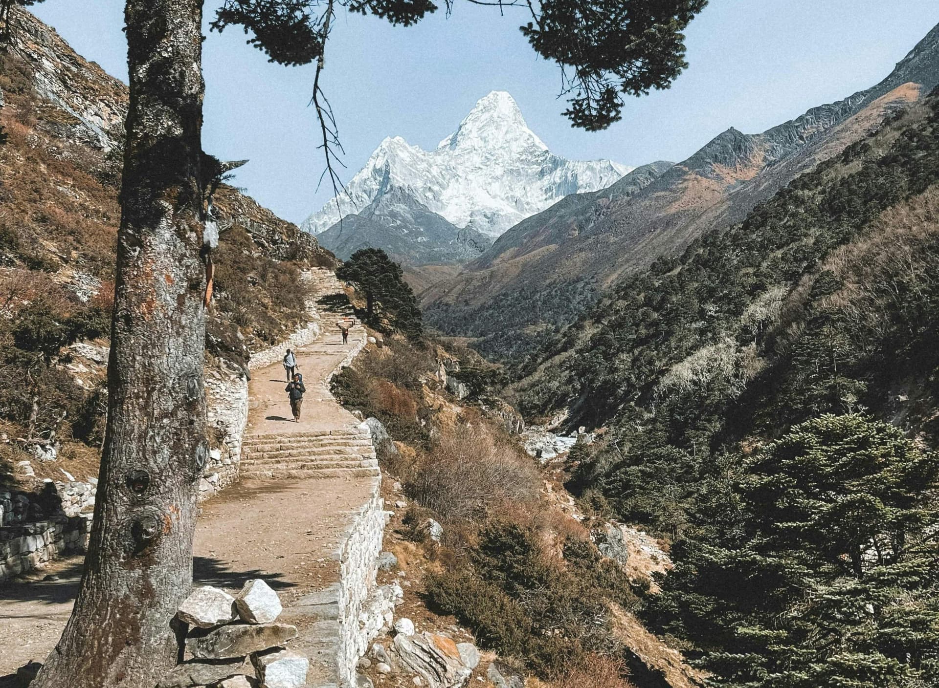 Amadablam Base Camp Trek
