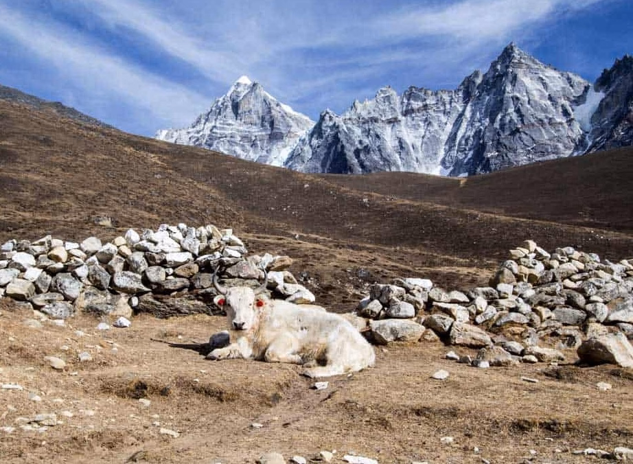 Trek from Thame to Marlung 4,137 m – 4/5 hours
