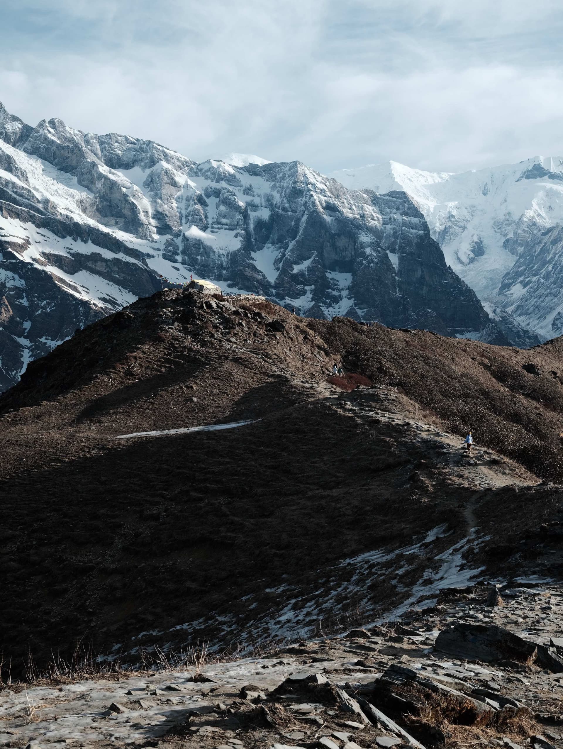 Wilderness Region Trekking