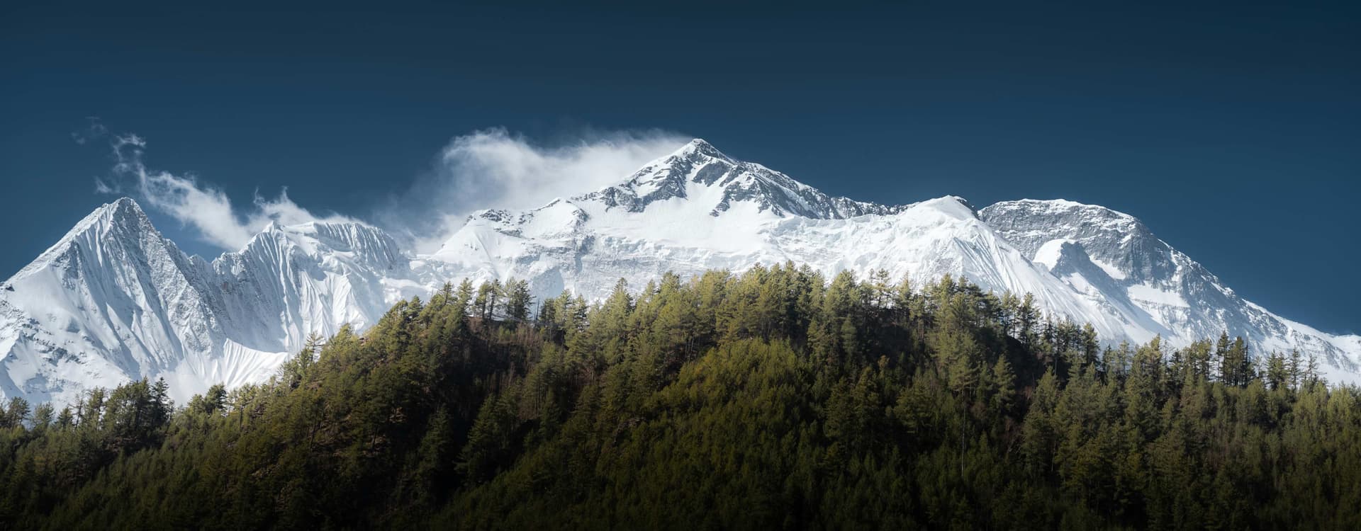 Wilderness Region Trekking