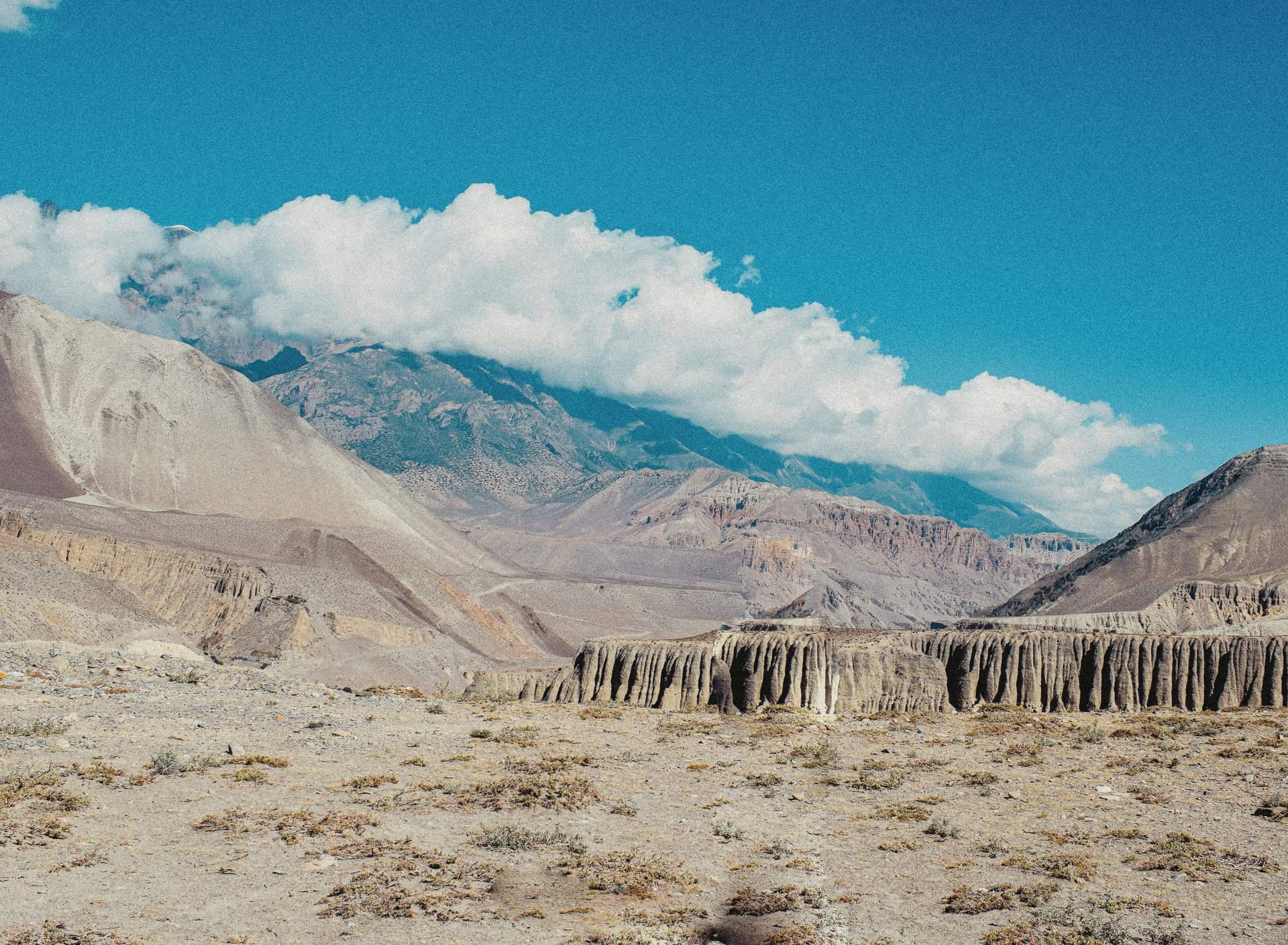 Mustang himalayas Nepal