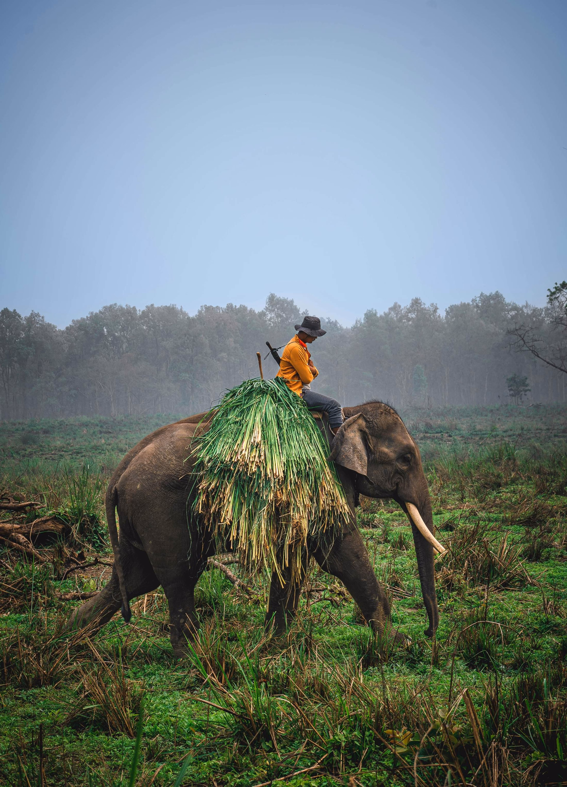 Kathmandu Chitwan Tour