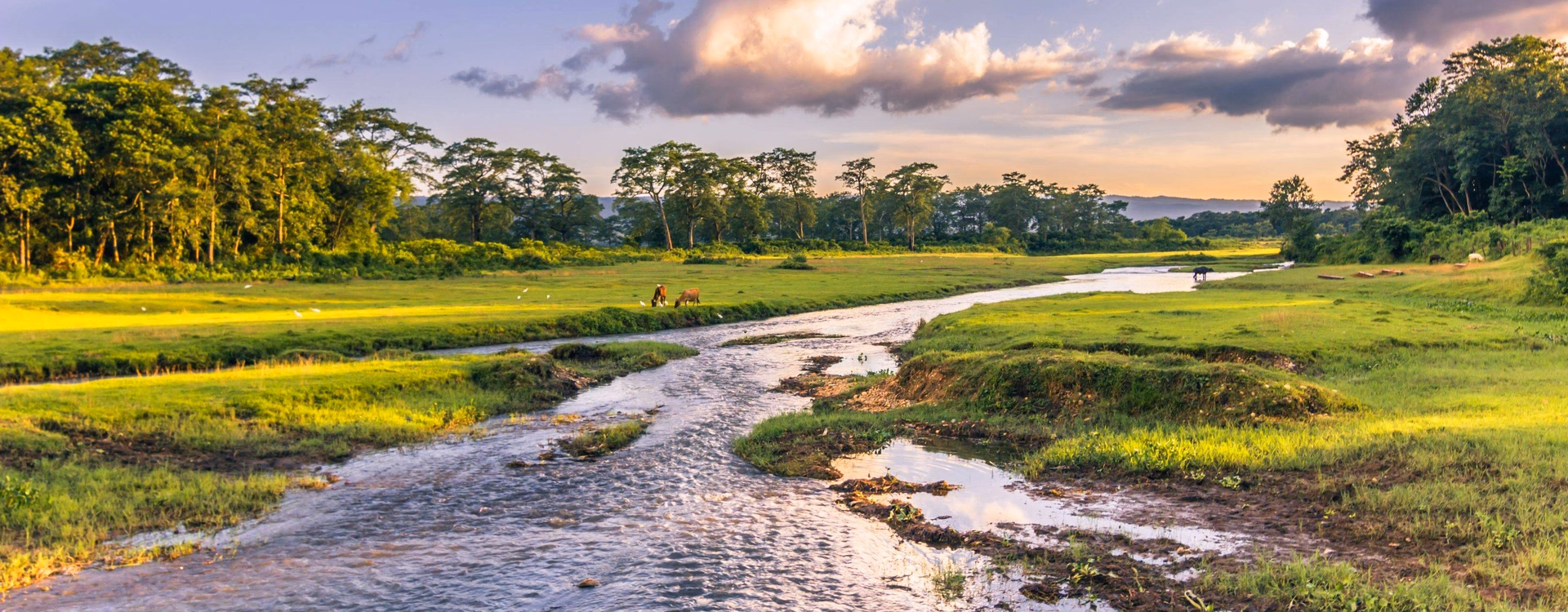 Kathmandu Chitwan Pokhara Package Tour
