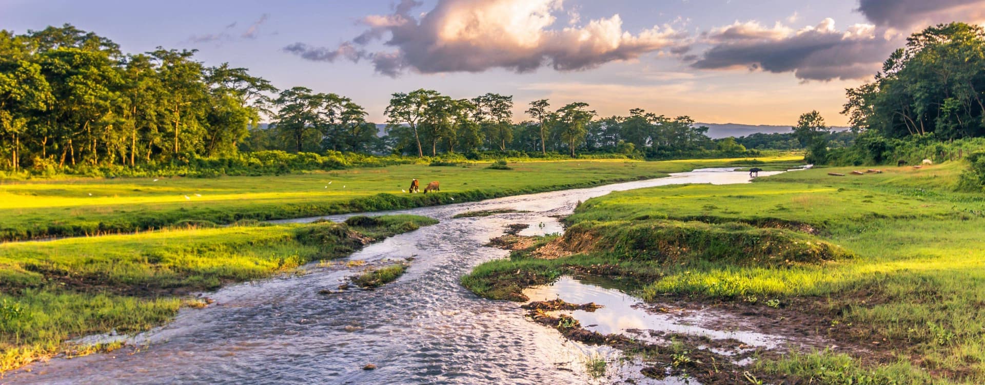 Kathmandu Chitwan Pokhara Package Tour