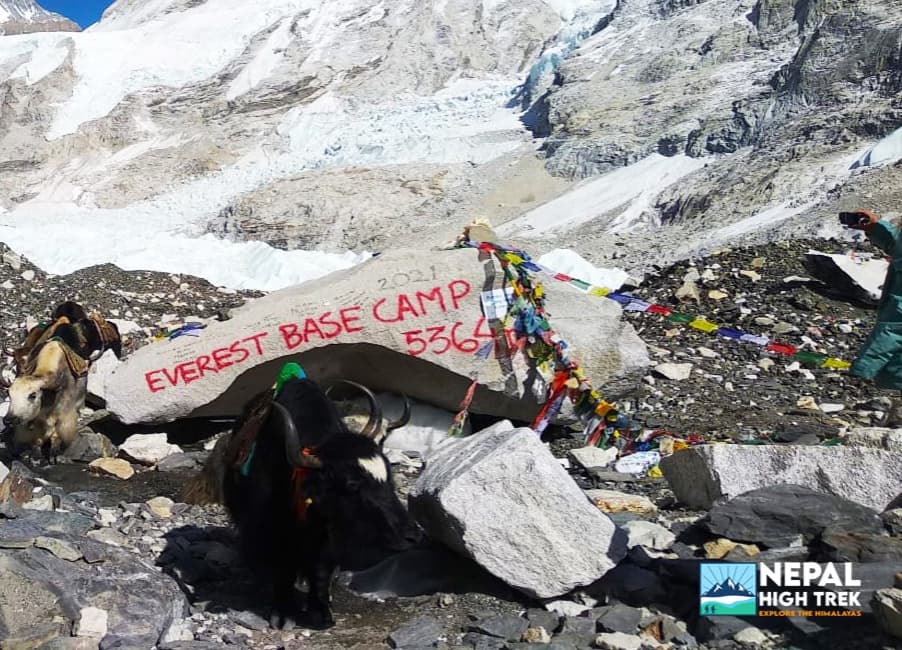 Everest Base Camp Trekking in Nepal