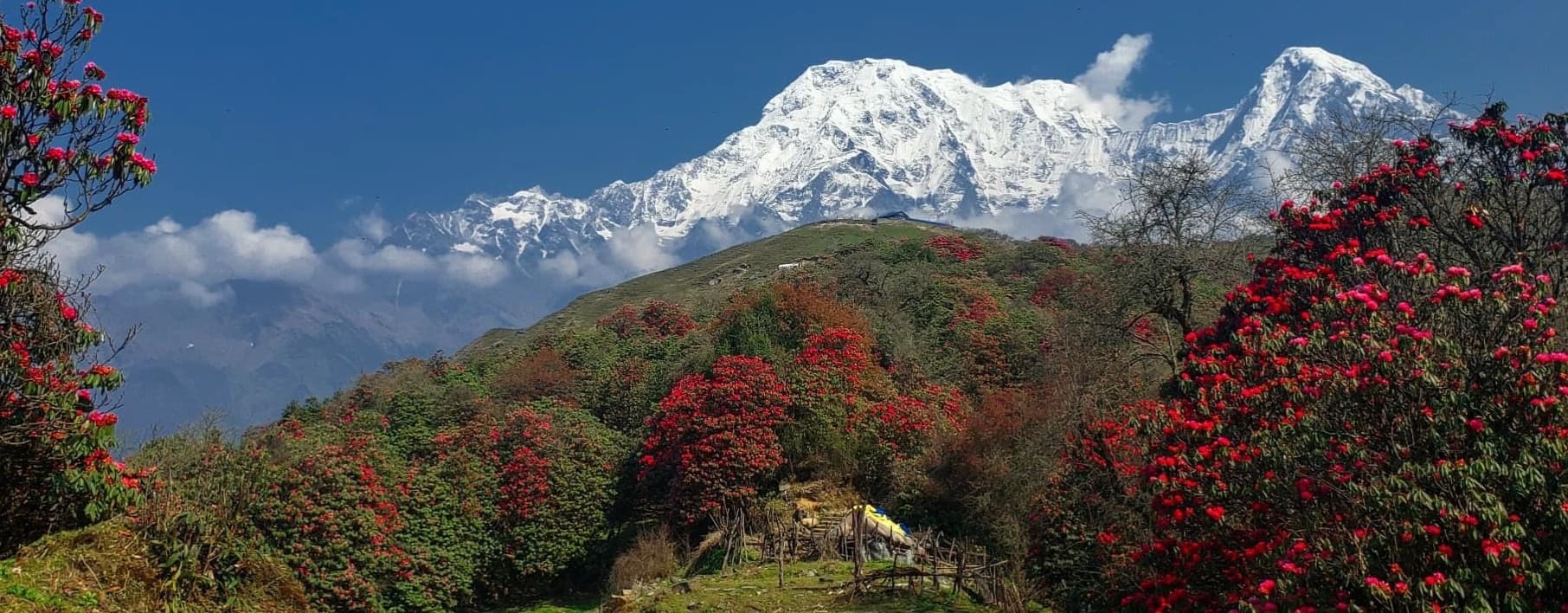 Christmas and New Year Holiday Package in Nepal