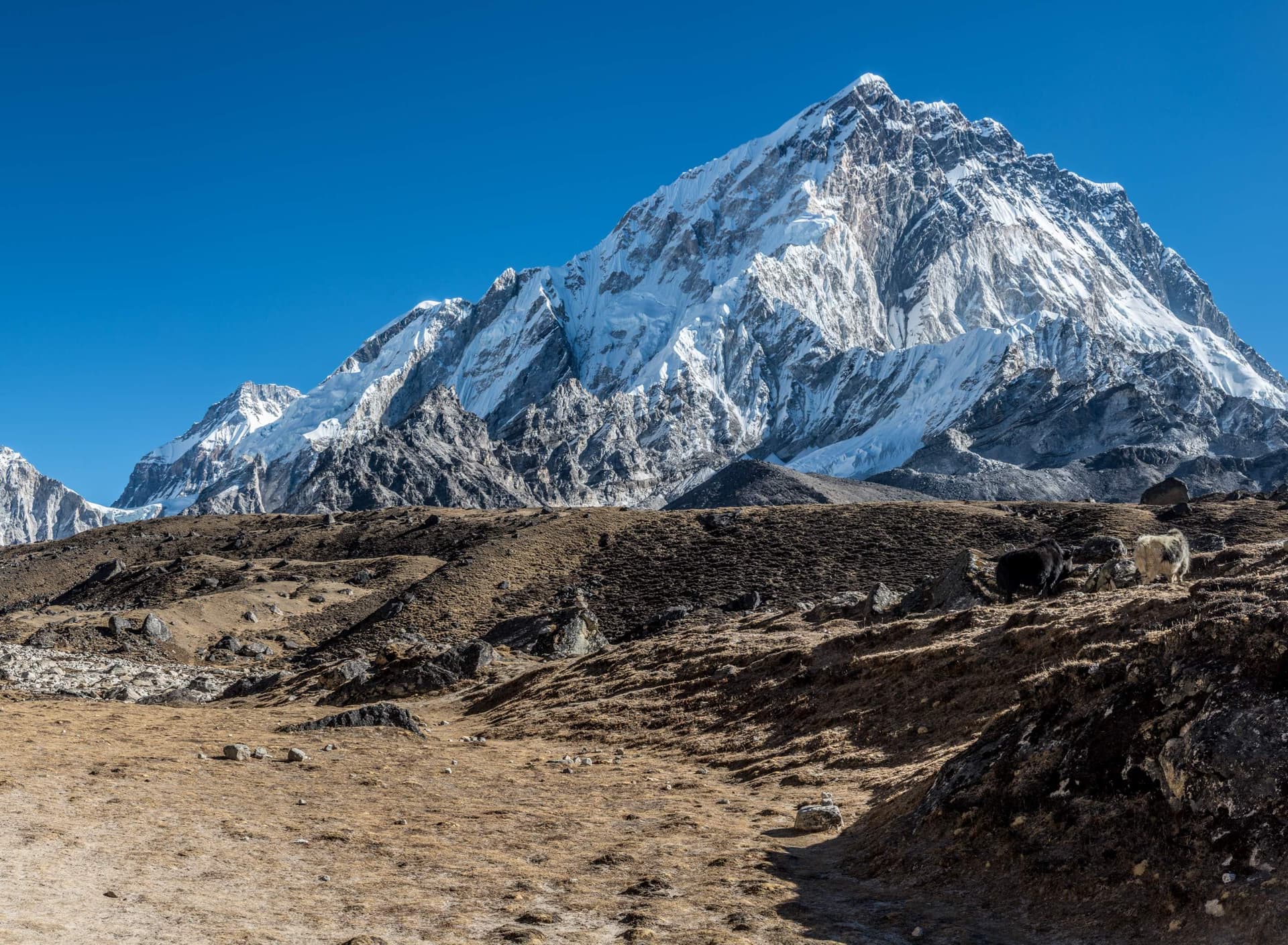 14 Days Everest Base Camp Trek