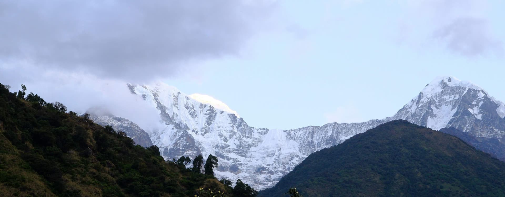 Mohare Danda Trek