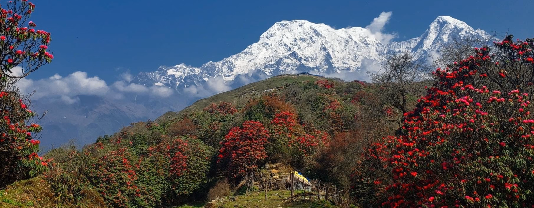 Christmas and New Year Holiday Package in Nepal
