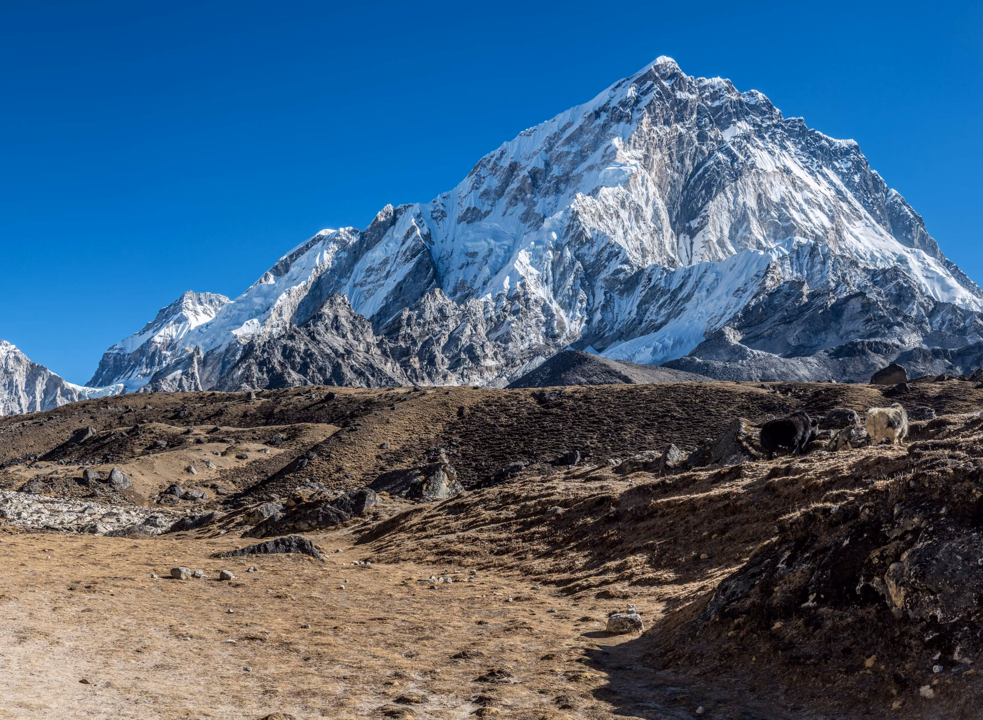 14 Days Everest Base Camp Trek