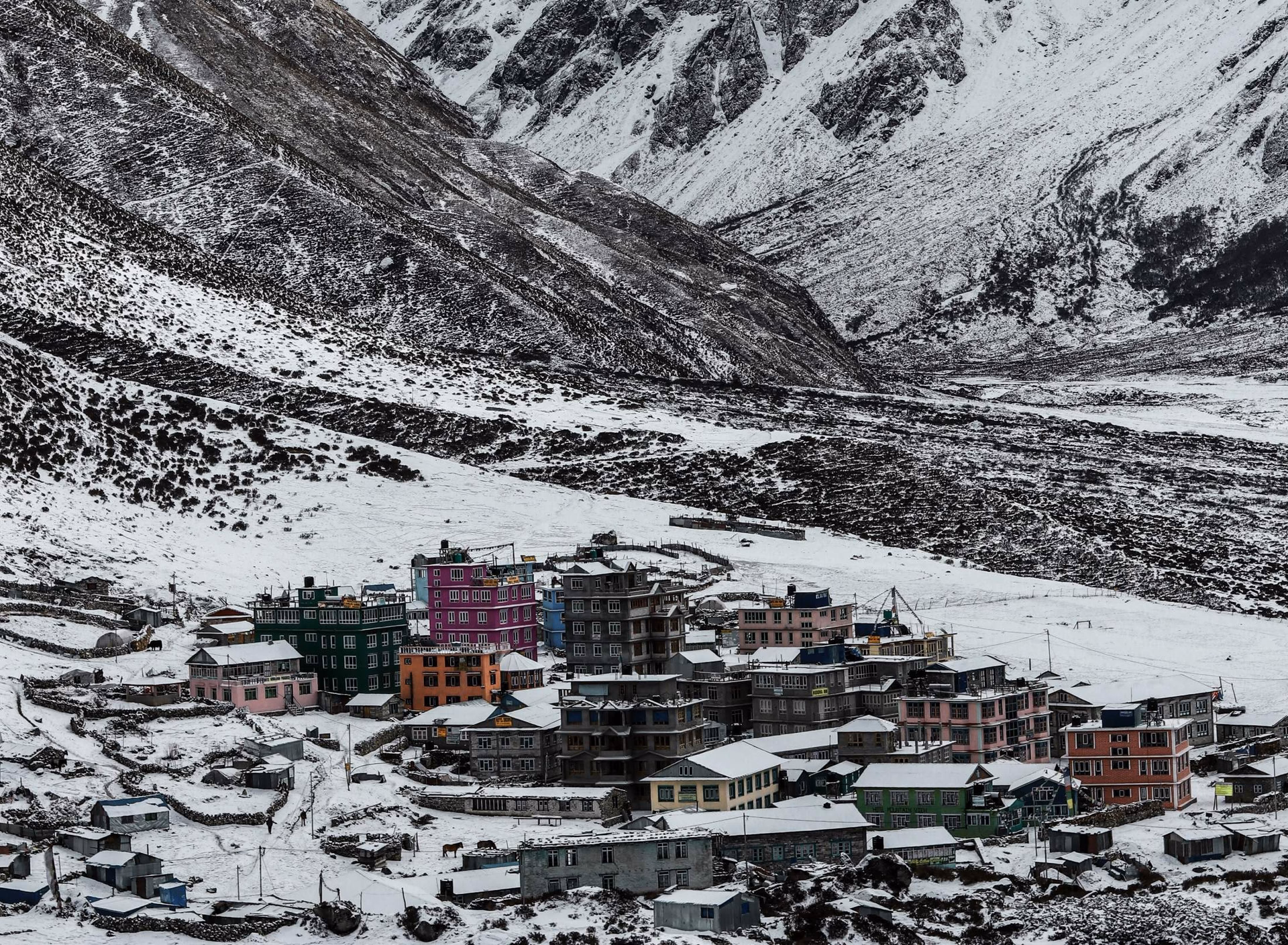 Langtang Valley and Ganja La Pass Trek