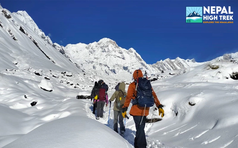 annapurna-base-camp-short-trek.webp